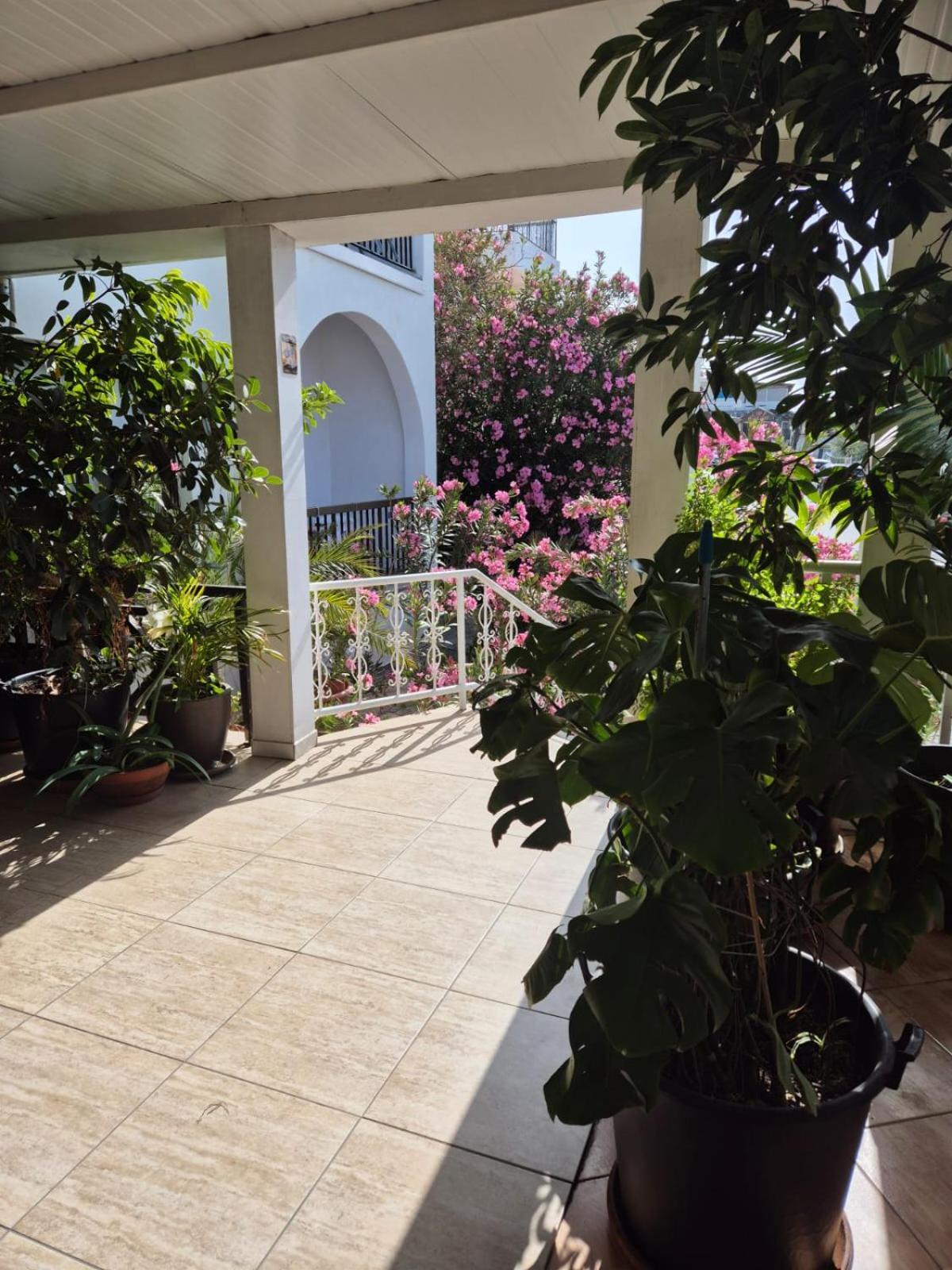 Myriama Apartments Ayia Napa Exterior foto